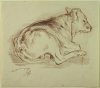 1901-1903 ca. -  Vitello
